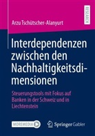 Arzu Tschütscher-Alanyurt - Interdependenzen zwischen den Nachhaltigkeitsdimensionen