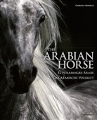 Arabian Horses