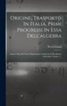 Pietro Cossali - Origine, Trasporto In Italia, Primi Progressi In Essa Dell'algebra