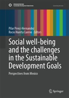 Huerta Cuervo, Rocio Huerta Cuervo, Pilar Pérez-Hernandez - Social well-being and the challenges in the Sustainable Development Goals