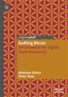 Pieter Buys, Wiehann Olivier - Auditing Bitcoin