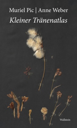 Muriel Pic, Anne Weber, Leo Pinke, Anne Weber - Kleiner Tränenatlas