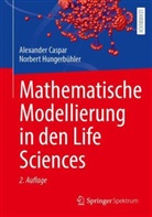 Alexander Caspar, Norbert Hungerbühler - Mathematische Modellierung in den Life Sciences