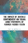 Ronda Shepherd Engstrom - The Impact of Juvenile Confinement on Young Adult Pathways of Former Foster Youth