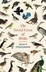 Joan E. Strassmann - The Social Lives of Birds