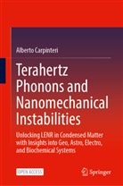 Alberto Carpinteri - Terahertz Phonons and Nanomechanical Instabilities