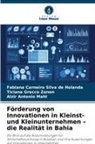 Alzir Antonio Mahl, Fabiana Carneiro Silva de Holanda, Ticiana Grecco Zanon - Förderung von Innovationen in Kleinst- und Kleinunternehmen - die Realität in Bahia