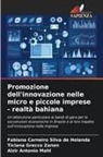Alzir Antonio Mahl, Fabiana Carneiro Silva de Holanda, Ticiana Grecco Zanon - Promozione dell'innovazione nelle micro e piccole imprese - realtà bahiana