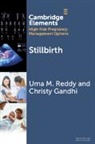 Christy Gandhi, Uma M. Reddy, Uma M. (Columbia University Medical Center) Reddy - Stillbirth