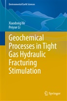 Xiaodong He, Peiyue Li - Geochemical Processes in Tight Gas Hydraulic Fracturing Stimulation