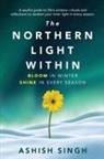 Ashish Singh - The Northern Light Within
