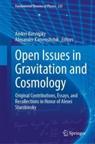 Andrei Barvinsky, Kamenshchik, Alexander Kamenshchik - Open Issues in Gravitation and Cosmology