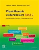 Elsner, Bernhard Elsner, Christian Kopkow - Physiotherapie evidenzbasiert Band 2