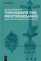 Michael Baldzuhn - Topografie des Meistergesangs
