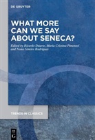 Maria Cristina Pimentel, Ricardo Duarte, Maria Cristina Pimentel, Nuno Sim&otilde;es Rodrigues, Nuno Sim&otilde;es Rodrigues - What More Can We Say about Seneca?