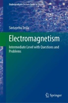 Sintayehu Tesfa - Electromagnetism