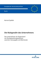 Kennet Spallek - Die R&uuml;ckgew&auml;hr des Unternehmens