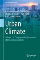 Tuhin Bhadra, Jitendra K Pandey et al, Kasturi Mukherjee, Jitendra K. Pandey, Dash Pratik, Rajib Sarkar - Urban Climate