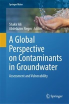 Shakir Ali, Negm, Abdelazim Negm - A Global Perspective on Contaminants in Groundwater