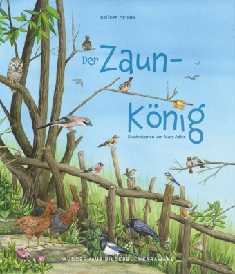 Brüder Grimm, Jacob Grimm, Wilhelm Grimm, Adler Adler - Der Zaunkönig Ein Märchen-Bilderbuch über heimische Vögel / Vorlesebuch ab 4 Jahren / ab 5 Jahren / ab 6 Jahren