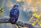 M -L Hubert, M.-L. Hubert, J -L Klein, J.-L. Klein - Eulen Kalender 2027