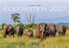 M -L Hubert, M.-L. Hubert, J -L Klein, J.-L. Klein - Elefanten Kalender 2027