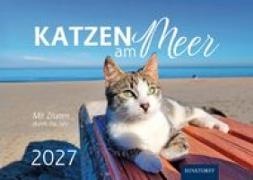 Eva Maria Buchholz - Katzen am Meer 2027
