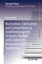 Rourav Basak - Nucleation, Fabrication, and Competition in Antiferromagnetic Textures Studied with Coherent Resonant Soft X-ray Scattering