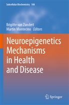 Montecino, Martin Montecino, Brigitte van Zundert, Brigitte van Zundert - Neuroepigenetics Mechanisms in Health and Disease