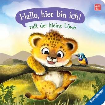 Sabine Praml, Iris Blanck - "Hallo, hier bin ich!", ruft der kleine Löwe - Erste Vorlesegeschichte für Kinder ab 1 Jahr
