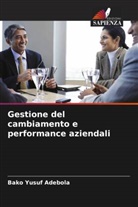 Bako Yusuf Adebola - Gestione del cambiamento e performance aziendali