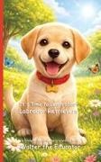 Walter the Educator - It's Time to Learn about Labrador Retrievers