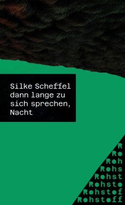 Silke Scheffel - dann lange zu sich sprechen, Nacht