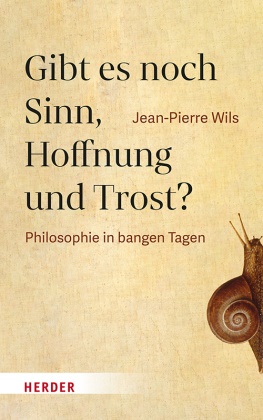 Jean-Pierre Wils - Gibt es noch Sinn, Hoffnung und Trost? Philosophie in bangen Tagen