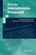 Christoph Benicke - Internationales Privatrecht