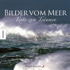 Philip Plisson - Bilder vom Meer