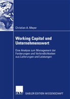 Christian Meyer, Christian A. Meyer, Christian Albert Meyer - Working Capital und Unternehmenswert