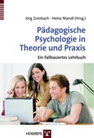 Mandl, Mandl, Heinz Mandl, Zumbach, Jör Zumbach, Jörg Zumbach - Pädagogische Psychologie in Theorie und Praxis