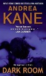 Andrea Kane - Dark Room