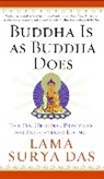Lama Surya Das, Surya Das - Buddha is as Buddha Does
