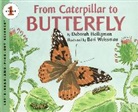 Deborah Heiligman, Deborah/ Weissman Heiligman, Bari Weissman - From Caterpillar to Butterfly Big Book