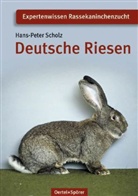 Hans Peter Scholz, Hans-P Scholz, Hans-Peter Scholz - Deutsche Riesen