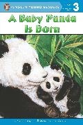 Kristin Ostby, Kristin/ Washburn Ostby, Lucia Washburn, Lucia Washburn,  Washburn Lucia - A Baby Panda Is Born