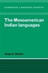 Jorge A. Suarez, S. R. Anderson, J. Bresnan - The Mesoamerican Indian Languages