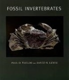 David N Lewis, David N. Lewis, Lewis David N., Paul D Taylor, Paul D. Taylor, Paul D./ Lewis Taylor... - Fossil Invertebrates