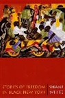 Shane White, White Shane - Stories of Freedom in Black New York