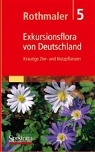 Werner Rothmaler, Friedric Ebel, Friedrich Ebel, Friedric Ebel (Dr.), Hanel, Peter Hanelt... - Exkursionsflora von Deutschland - Bd.5: Krautige Zier- und Nutzpflanzen
