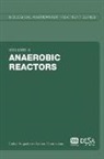 Carlos Augusto De Lemos Chernicharo, Carlos Augustos Lemos Chernicharo - Anaerobic Reactors