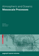 RAMAN, Raman, Sethu Raman, Maithil Sharan, Maithili Sharan - Atmospheric and Oceanic Mesoscale Processes