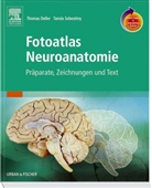 Thomas Deller, Tamas Sebesteny, Thomas Deller, Tamas Sebesteny - Fotoatlas Neuroanatomie